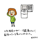 大変残念ですが･･冷蔵庫のりんご、最後の1つを食べてしまいました･･