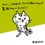 フェルトの白ねこちゃんが黒猫ちゃんになちゃう！